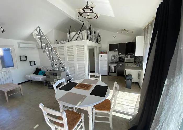 Grand Studio A Louer Avec Terrasse